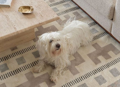 Washable Rugs